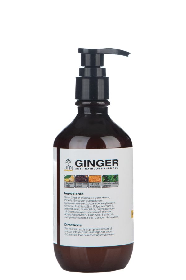 Anti Hair Loss Ginger Shampoo - Image 3